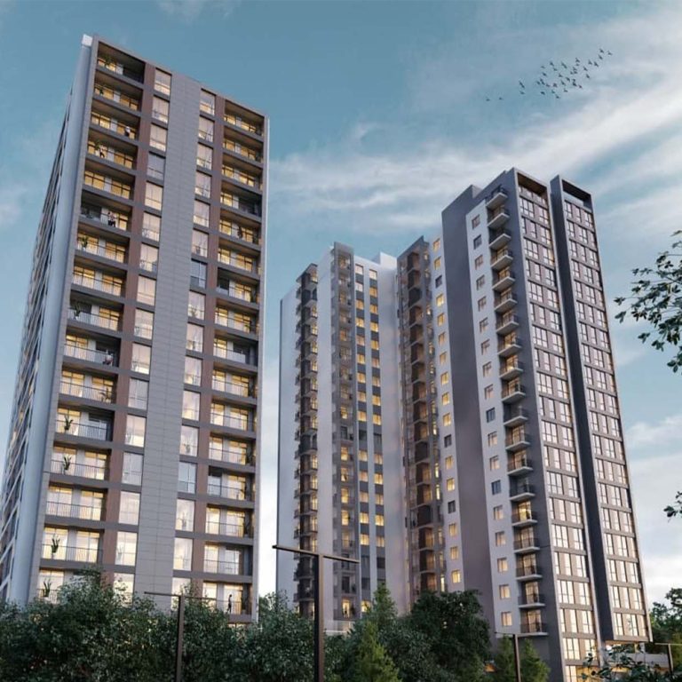 R_0050_img-detail-05