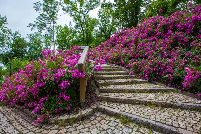 Callaway Gardens in georgia